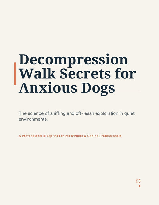 Decompression Walk Secrets for Anxious Dogs